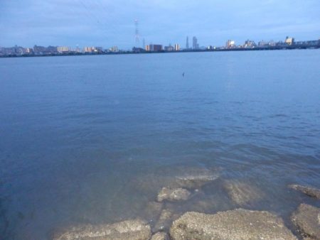 どシャロー‼ボトムごりごり‼